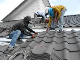 Best Roof Maintenance and Cleaning  in Raymondville, TX